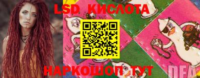 PSILOCYBIN Будённовск