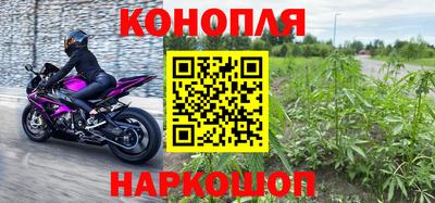 PSILOCYBIN Будённовск
