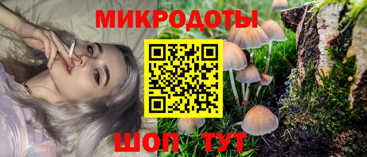 Псилоцибиновые грибы Psilocybine cubensis Соль-Илецк