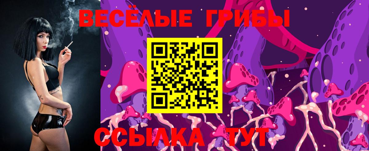 Псилоцибиновые грибы прущие грибы  Вход с VPN  Соль-Илецк 